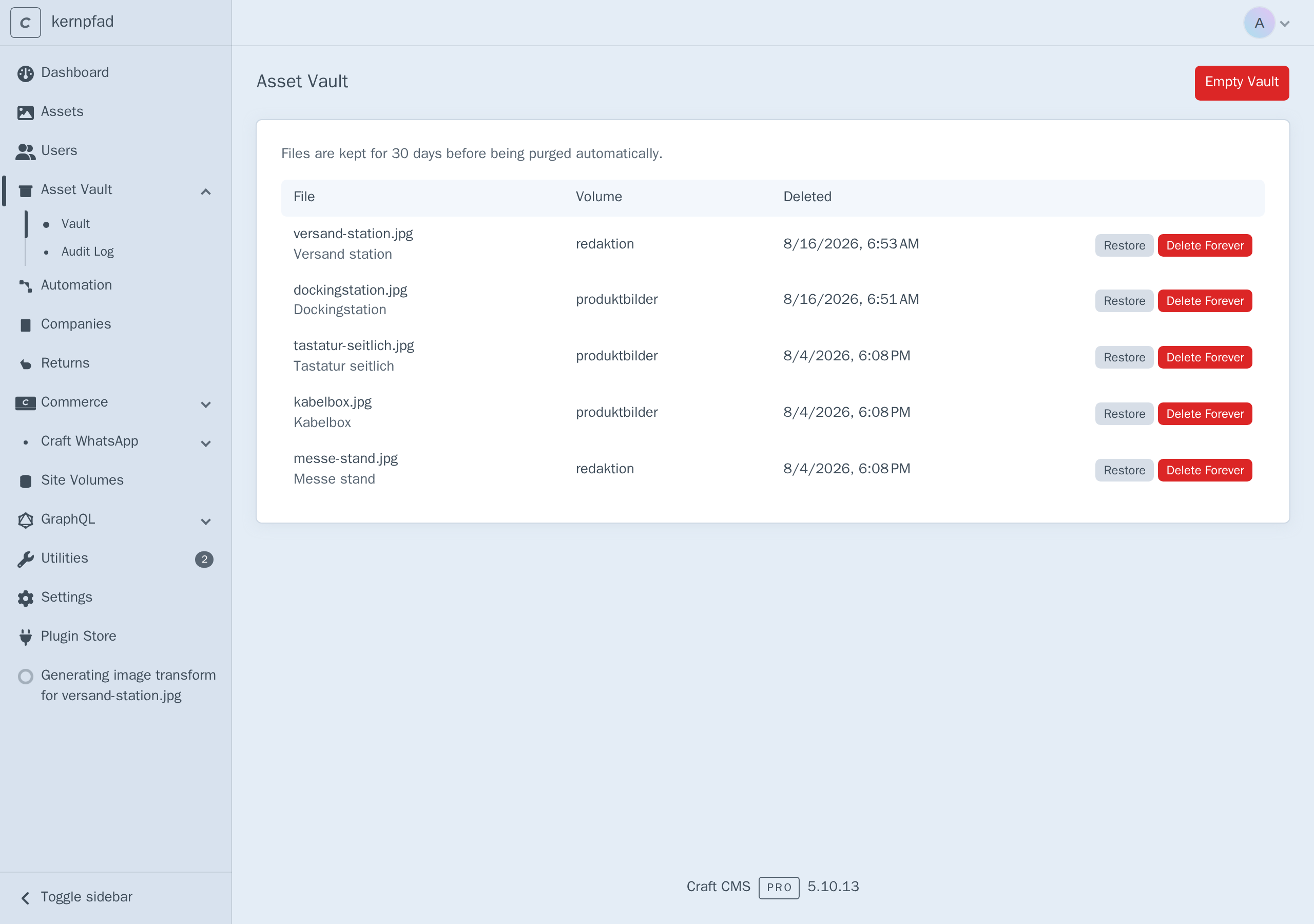 The Craft control panel with Asset Vault in the left sidebar